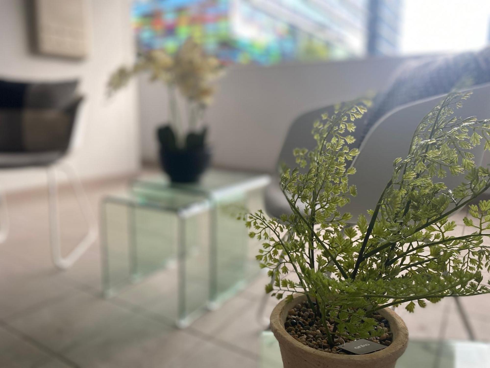 Parramatta Adorable 3br Parkingbusshopping Appartamento